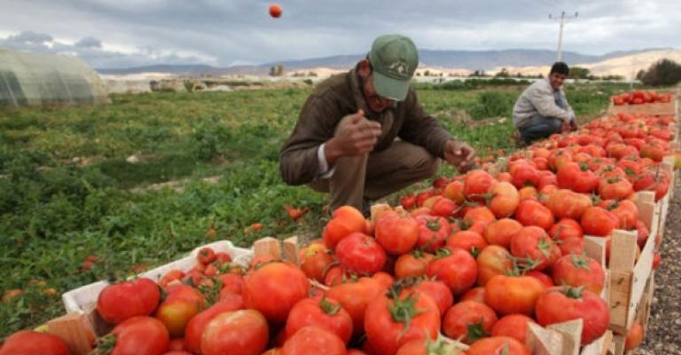 اتحاد المزارعين: نداء أخير للملك