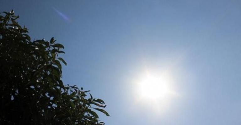 أجواء صيفية معتدلة