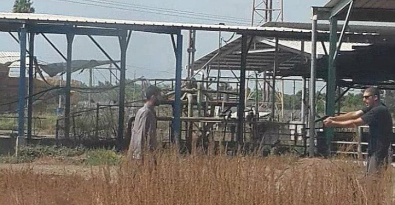 مقتل أردني في "ألينوي" الأمريكية وإصابة شاب على الحدود الإسرائيلية