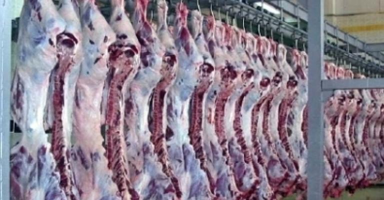 مسالخ الأمانة تعاين 353 طن لحوم خلال عطلة العيد‎