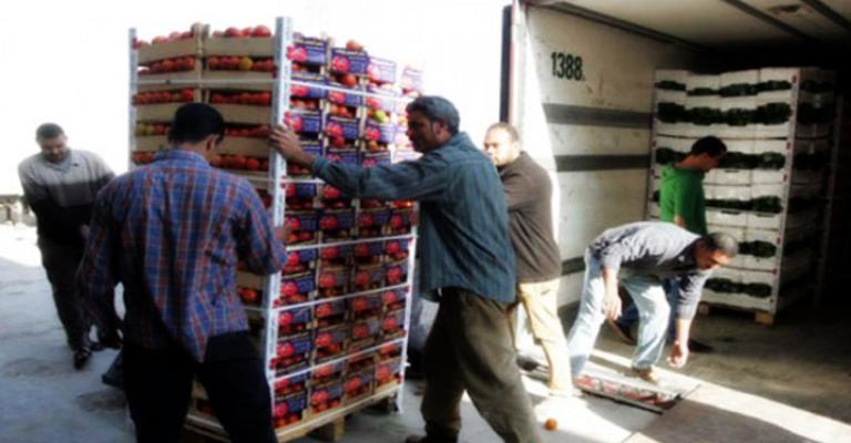 انخفاض صادرات الأردن من الخضار والفواكه انخفاض صادرات الأردن من الخضار والفواكه
