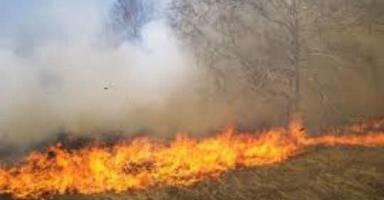 حريق أعشاب جافة وأشجار حرجية في عجلون