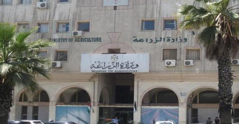 آخر موعد لاستلام القمح والشعير من المزارعين الأحد