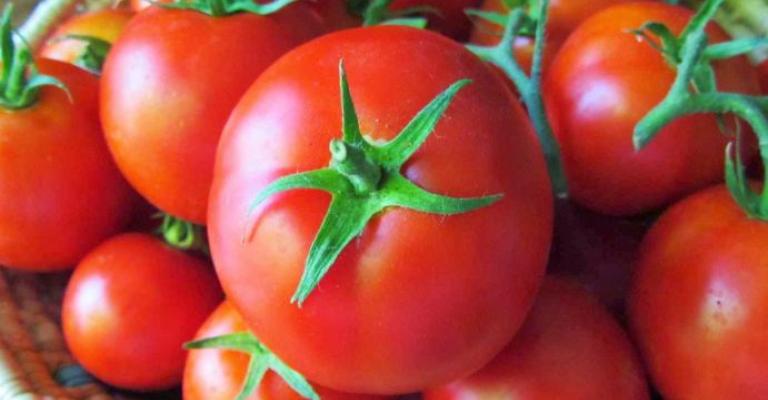 انخفاض سعر البندورة في "مركزي عمّان"