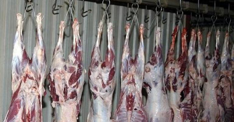 290 ألف دينار لتأهيل مسلخ عمان