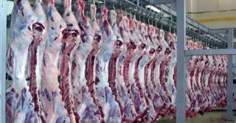 المسالخ : توزيع 50 طبيب بيطري لفحص الأضاحي في حظائر البيع والذبح