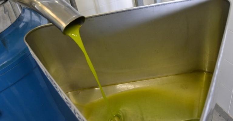 موسم زيت الزيتون... حالات غش وانخفاض في الإنتاج