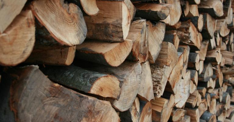 دوريات على مداخل عمّان لمنع تجارة الحطب دوريات على مداخل عمّان لمنع تجارة الحطب