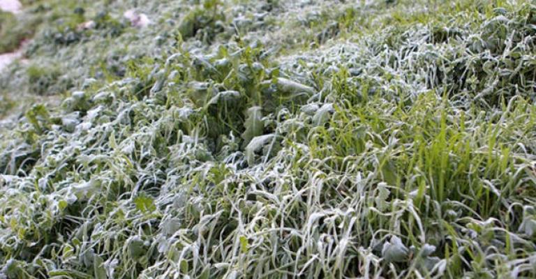 اتحاد المزارعين يعلن عن خطوات احتجاجية للمطالبة بالتعويض