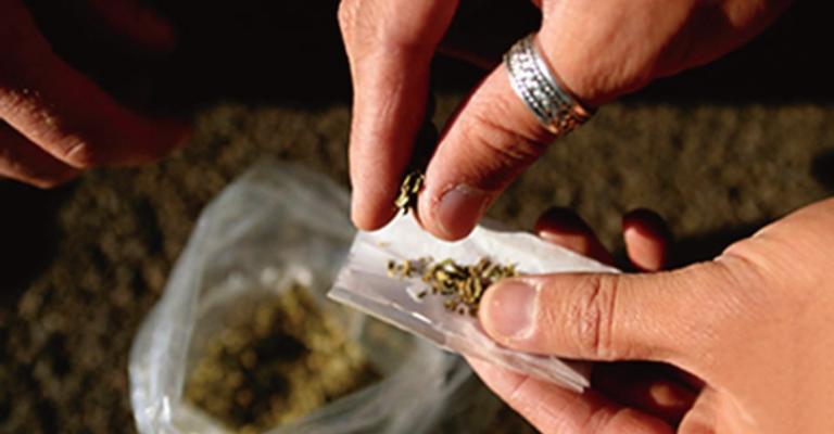 ضبط 133 الف حبة مخدرة و 17 كغم حشيش ضبط 133 الف حبة مخدرة و 17 كغم حشيش