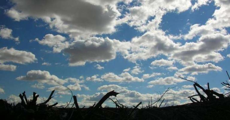 أجواء باردة نسبيا والعظمى في عمان 12 درجة أجواء باردة نسبيا والعظمى في عمان 12 درجة