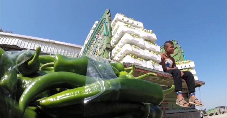 العوران: ارتفاع اسعار الخضار بمثابة ناقوس خطر العوران: ارتفاع اسعار الخضار بمثابة ناقوس خطر