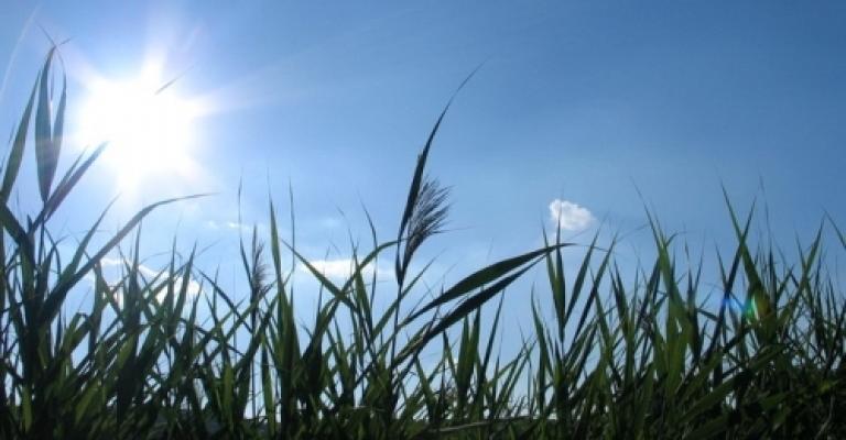 حالة من عدم الاستقرار الجوي حتى الخميس حالة من عدم الاستقرار الجوي حتى الخميس