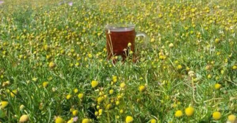 اجواء ربيعية معتدلة اجواء ربيعية معتدلة