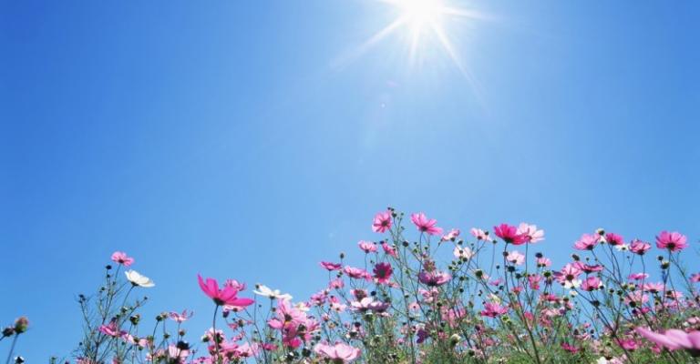 طقس ربيعي اليوم وارتفاع الحرارة غدا طقس ربيعي اليوم وارتفاع الحرارة غدا