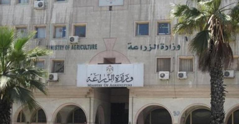 الزراعة: لا بلاغات إماراتية رسمية بوقف الاستيراد من الأردن الزراعة: لا بلاغات إماراتية رسمية بوقف الاستيراد من الأردن