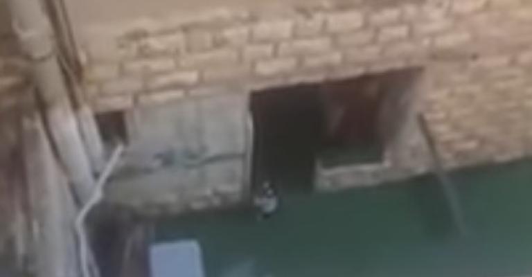 إغلاق حضانة بعد الإساءة لطفلة إغلاق حضانة بعد الإساءة لطفلة