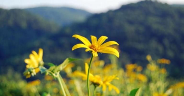 أجواء ربيعية لطيفة والعظمى في عمان 17 درجة أجواء ربيعية لطيفة والعظمى في عمان 17 درجة