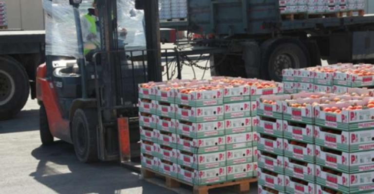 الزراعة تنفي إعادة أو إتلاف أي من الصادرات الزراعة تنفي إعادة أو إتلاف أي من الصادرات