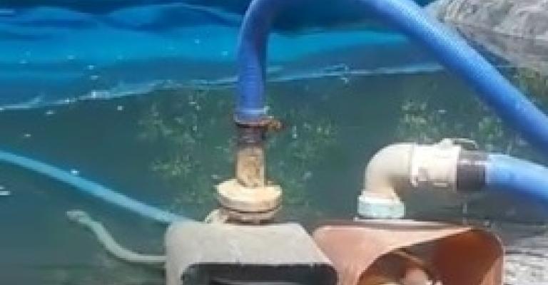 بيع مياه غير صالحة للشرب بوادي السير بيع مياه غير صالحة للشرب بوادي السير