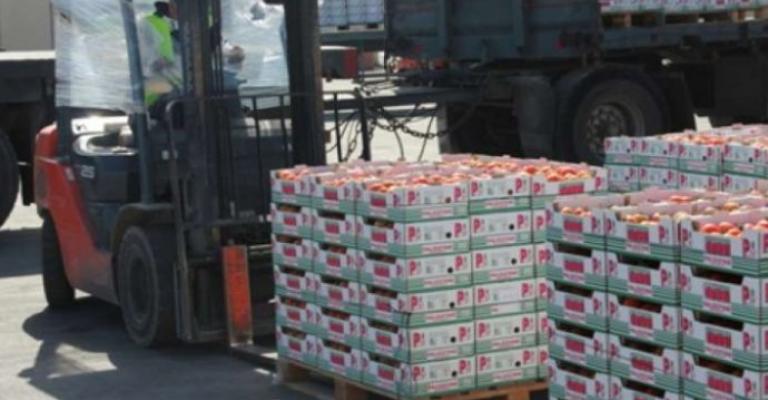 الزراعة: زيادة الصادرات للخليج بـ45% الزراعة: زيادة الصادرات للخليج بـ45%