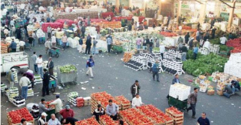 انخفاض أسعار الخضار 50% في "المركزي" انخفاض أسعار الخضار 50% في "المركزي"