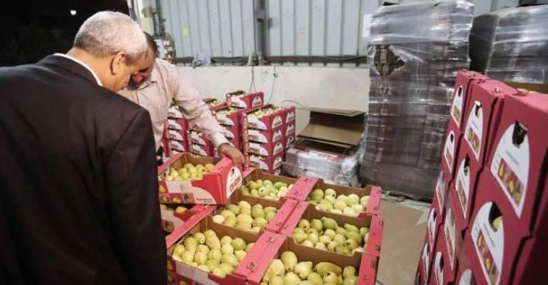 تراجع الصادرات يخفض أسعار الخضار والفواكه