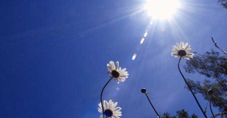 ارتفاع على الحرارة وموجة حارة ذروتها الثلاثاء