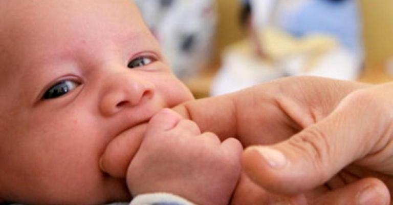 6% نسبة انخفاض الإنجاب خلال 20 عاما