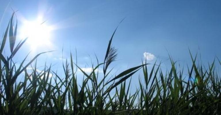 أجواء حارة نسبيا والعظمى في عمان 32 درجة