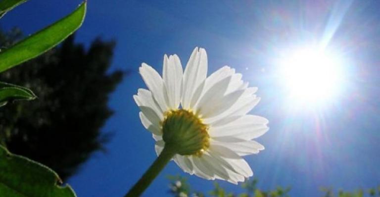 أجواء حارة وجافة والعظمى في عمان 33 درجة أجواء حارة وجافة والعظمى في عمان 33 درجة