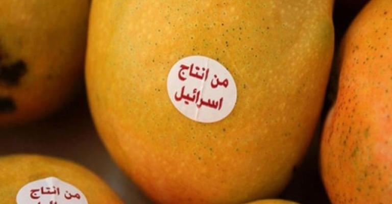 مانجا إسرائيلية في الأسواق مانجا إسرائيلية في الأسواق