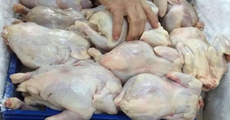 اتلاف دواجن فاسدة في الزرقاء