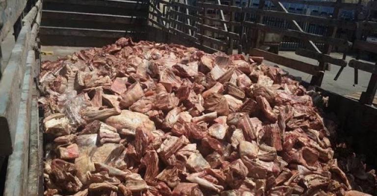 اتلاف نصف طن من اللحوم غير الصالحة في اربد اتلاف نصف طن من اللحوم غير الصالحة في اربد