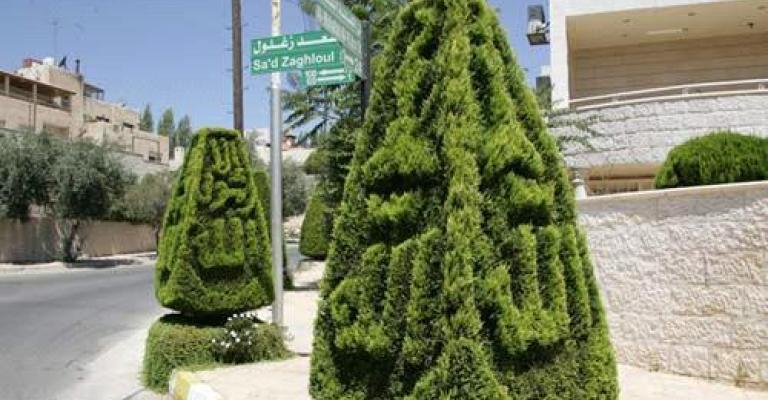 الأمانة تقلم الأشجار استعدادا لفصل الشتاء الأمانة تقلم الأشجار استعدادا لفصل الشتاء