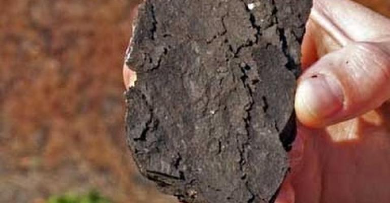 الأردن يبدأ بتحويل الصخر الزيتي إلى طاقة كهربائية الأردن يبدأ بتحويل الصخر الزيتي إلى طاقة كهربائية