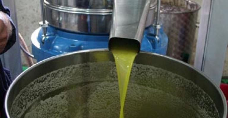 عبيدات يطالب بملاحقة تجار زيت الزيتون المغشوش قضائيا عبيدات يطالب بملاحقة تجار زيت الزيتون المغشوش قضائيا