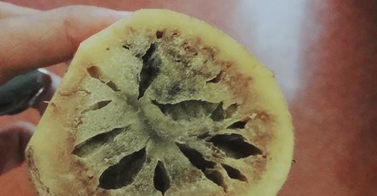 تحويل مزارعين الى المدعي العام على خلفية "البطاطا الفاسدة" تحويل مزارعين الى المدعي العام على خلفية "البطاطا الفاسدة"