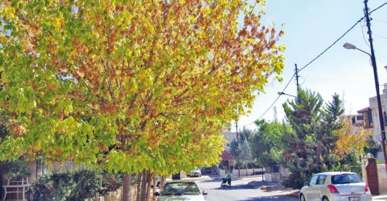 اجواء خريفية