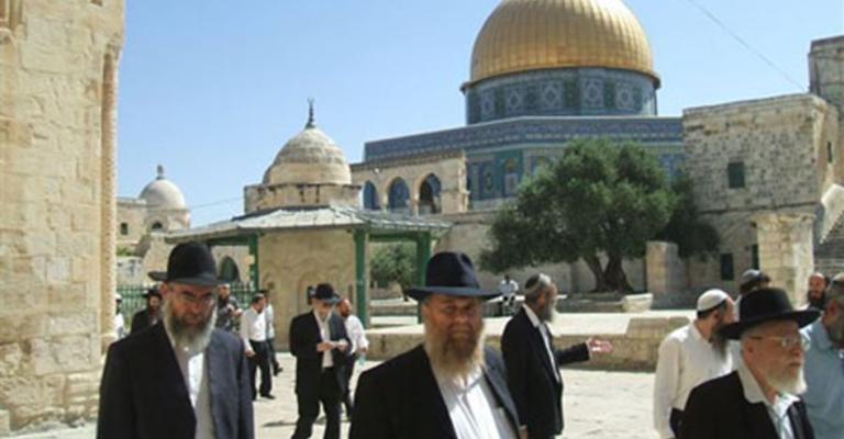 مستوطنون يجددون اقتحام الأقصى مستوطنون يجددون اقتحام الأقصى