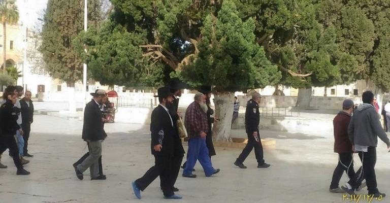 119 مستوطنًا وطالبًا يقتحمون الأقصى بحراسة مشددة 119 مستوطنًا وطالبًا يقتحمون الأقصى بحراسة مشددة