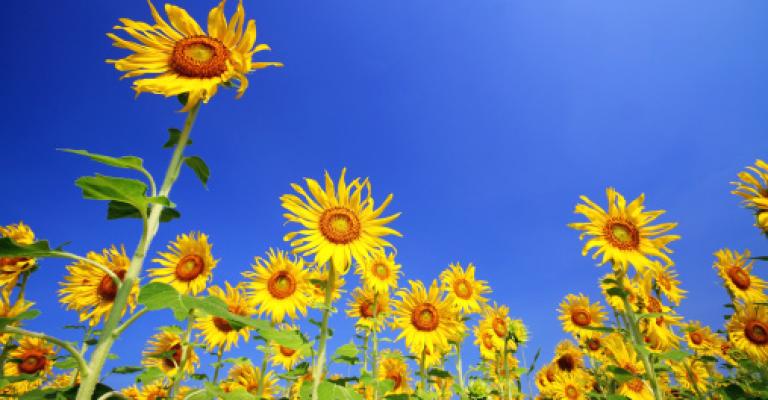 اجواء لطيفة حتى الاربعاء