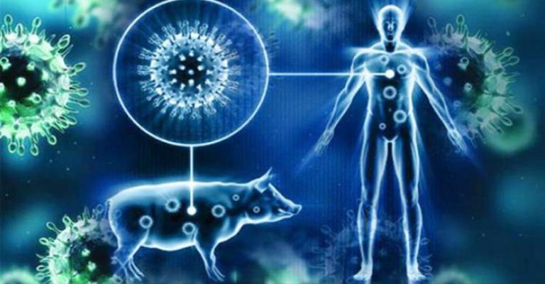 كيف تميز بين الإنفلونزا و أعراض إنفلونزا الخنازير؟ )انفوجرافيك(