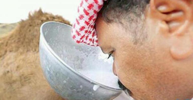 الصحة تدعو للوقاية من الحمى المالطية الصحة تدعو للوقاية من الحمى المالطية