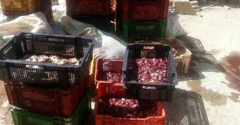 البيئة تضبط 4 مصانع تعمل بدون ترخيص