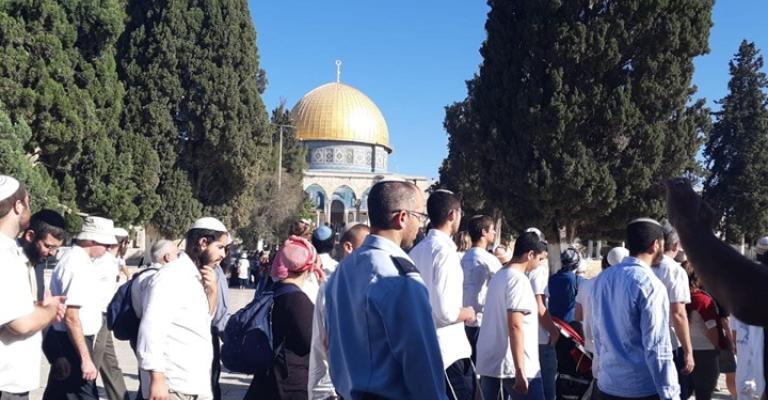 مئات المستوطنين يقتحمون الأقصى بحماية الاحتلال (شاهد) مئات المستوطنين يقتحمون الأقصى بحماية الاحتلال (شاهد)