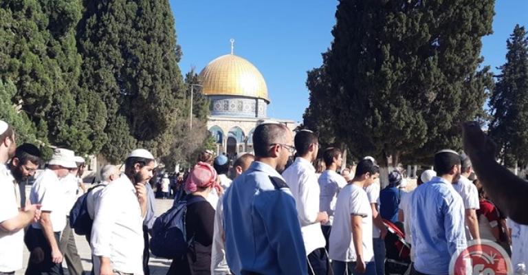 الخارجية الفلسطينية تُحذر من مخاطر الإجراءات التهويدية المُتسارعة لبناء "الهيكل" الخارجية الفلسطينية تُحذر من مخاطر الإجراءات التهويدية المُتسارعة لبناء "الهيكل"