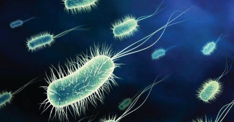 إغلاق فندق في البحر الميت واخلاء 164 نزيلا بسبب تلوث المياه