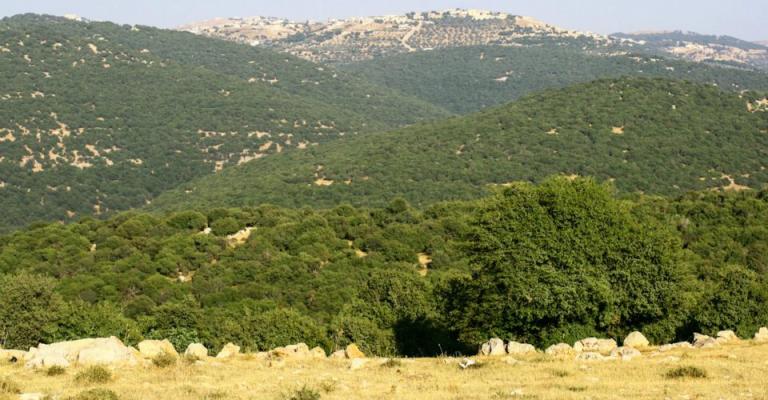 توفير مسكن ودخل شهري لعائلة تعيش في أحراش عجلون