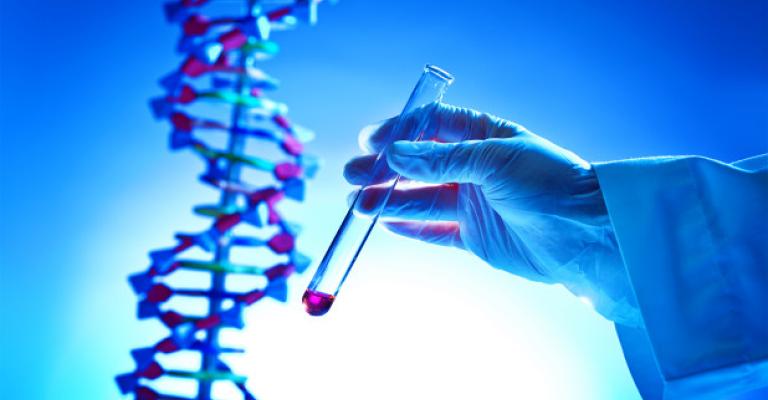 الجثة العائدة لأنثى لا تعود إلى المفقودة سارة في البحر الميت الجثة العائدة لأنثى لا تعود إلى المفقودة سارة في البحر الميت